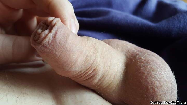 Adult image from covas