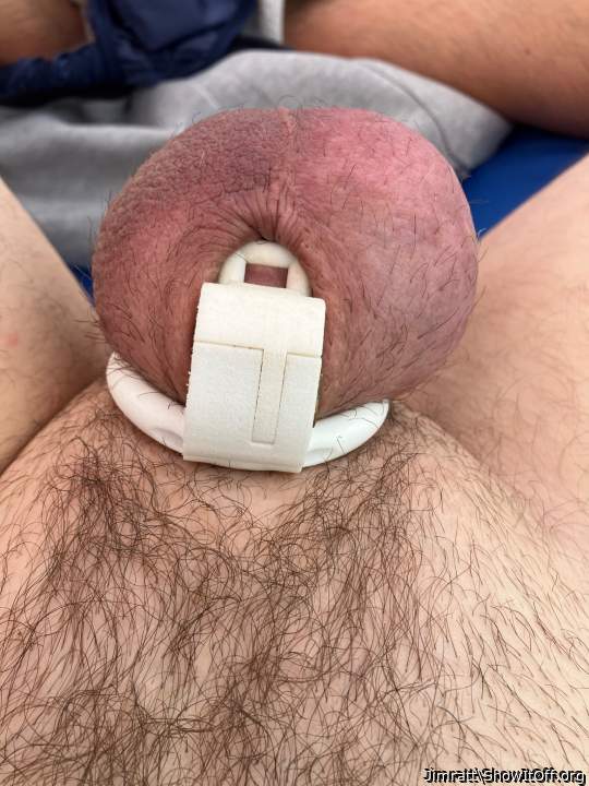 Adult image from Jimratt