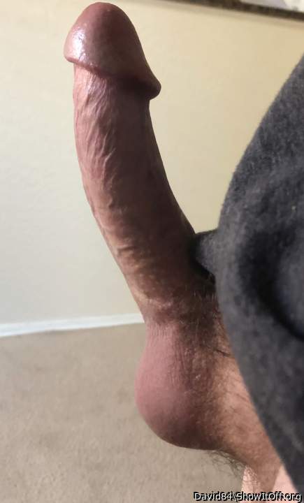   magnificent erection!