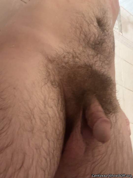 Adult image from CenFoxxo