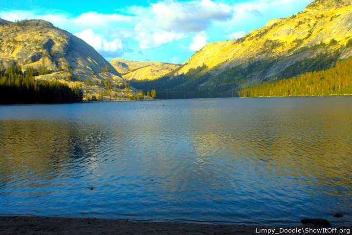 Adult image from Limpy_Doodle