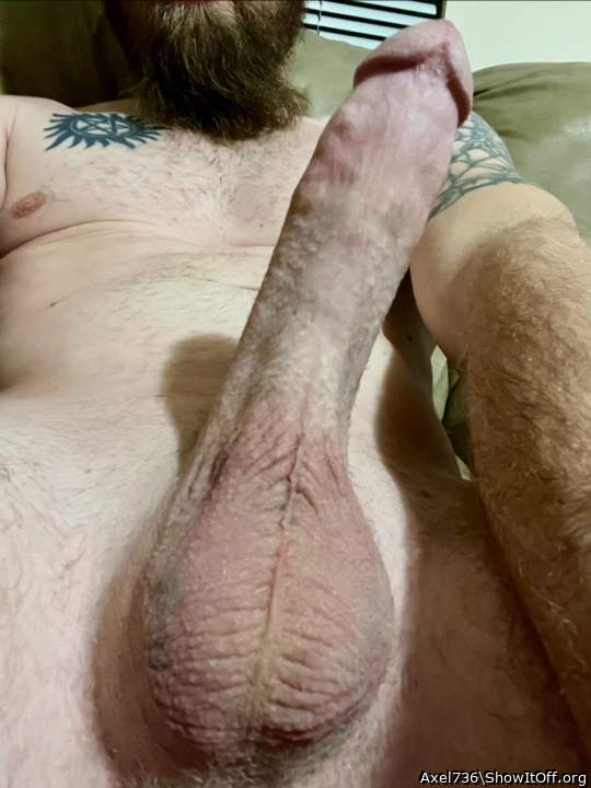 Now that's a cock we both want to play with&#128523;&#128540