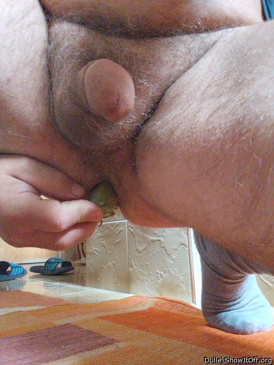 Adult image from Dulle