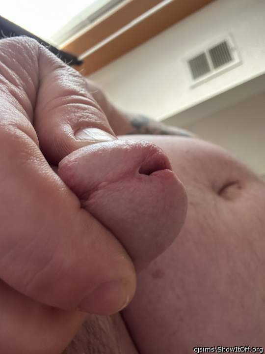 Adult image from cjsims