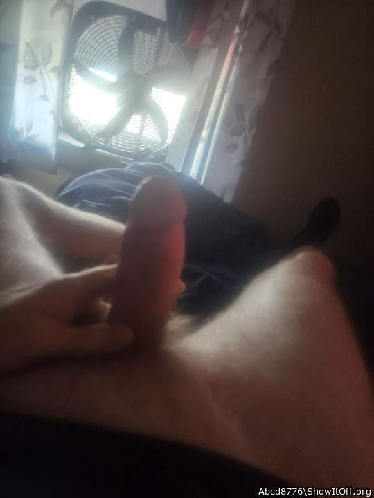 Adult image from Abcd8776