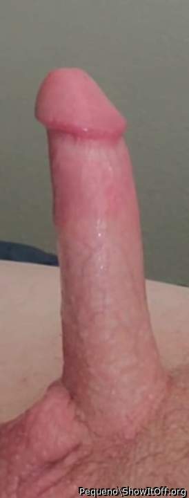 Adult image from Pequeno
