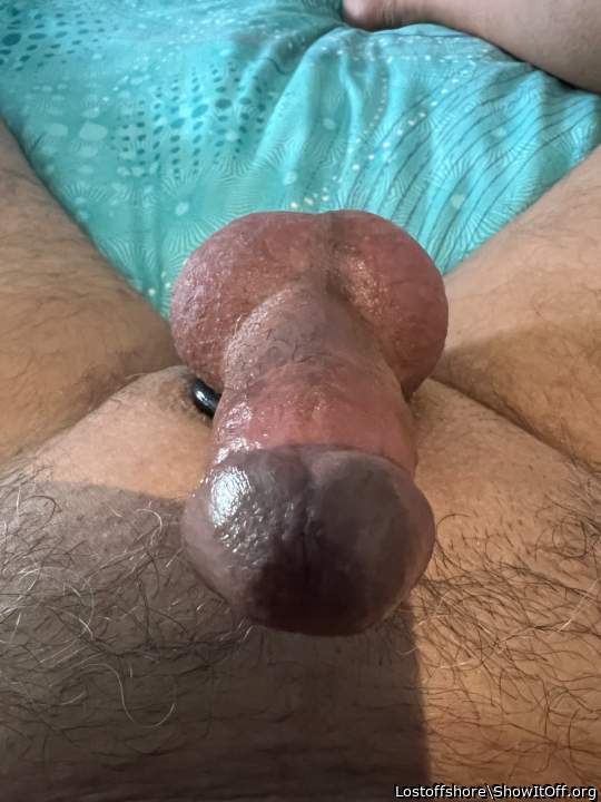 Good looking cock and balls