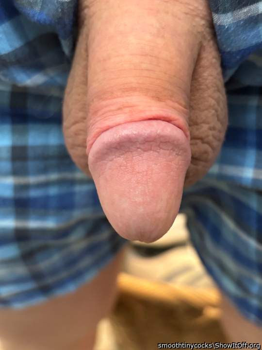 Cute little hairless cock and balls 1