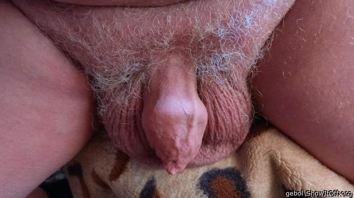 Adult image from gebol