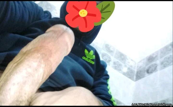 Adult image from AKATSUKI