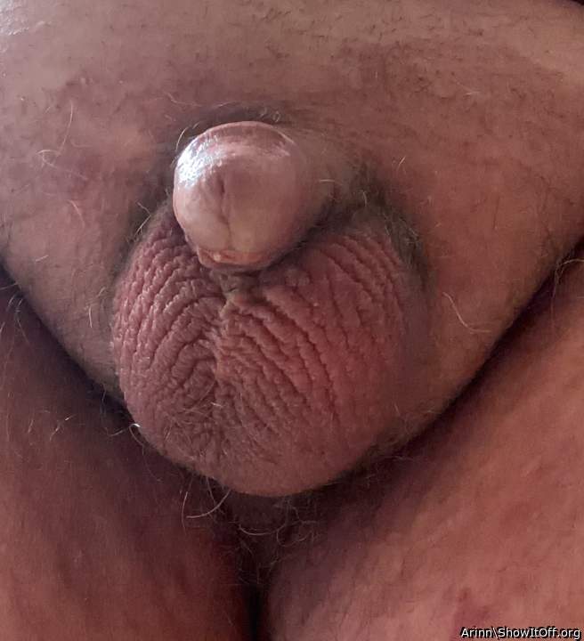 Adult image from Arinn