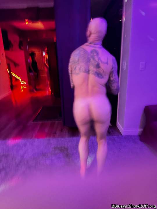 Adult image from BBlueys