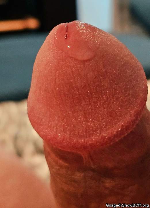 Adult image from Gnaged