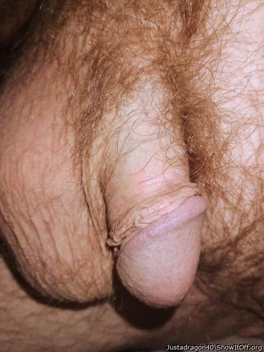 Adult image from Justadragon40