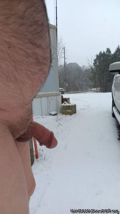 Adult image from tbird3030