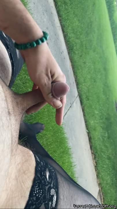 Adult image from Forrest