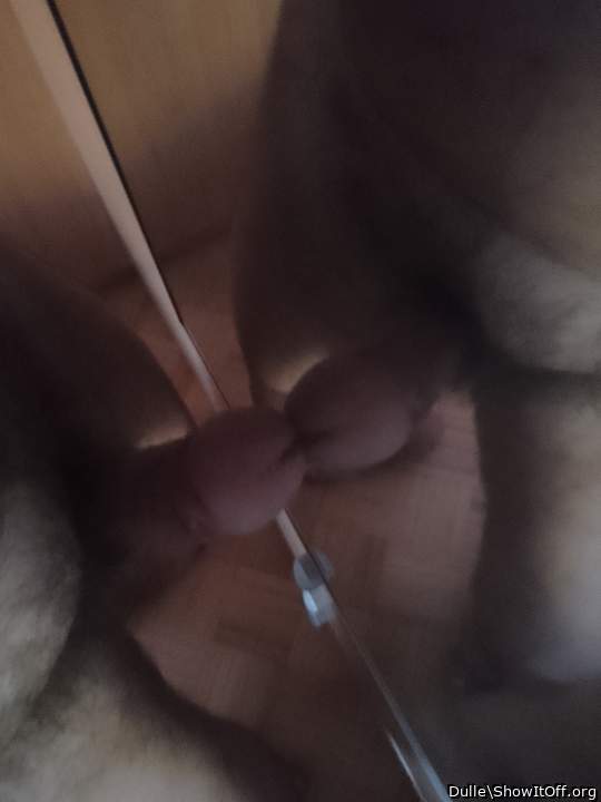 Adult image from Dulle