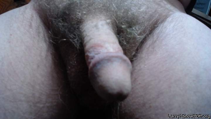 Adult image from harryr