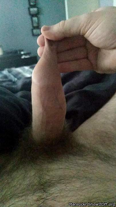    beautiful uncut cock and pubes