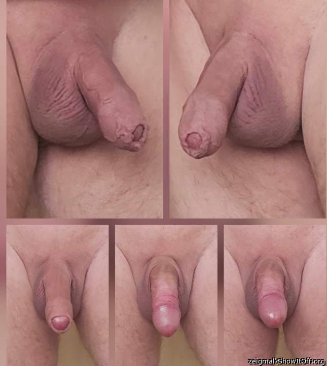 5x  aus der Bundeshauptstadt !