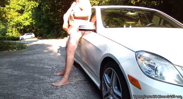 Adult image from Spongiform56