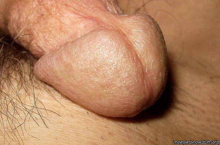 Cock Head Closeups for the Glans Fans.....