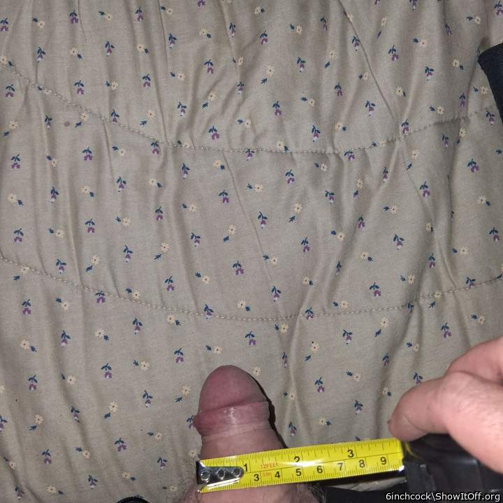 Adult image from 6inchcock