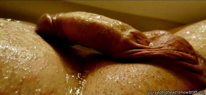 Adult image from Curvedbighead