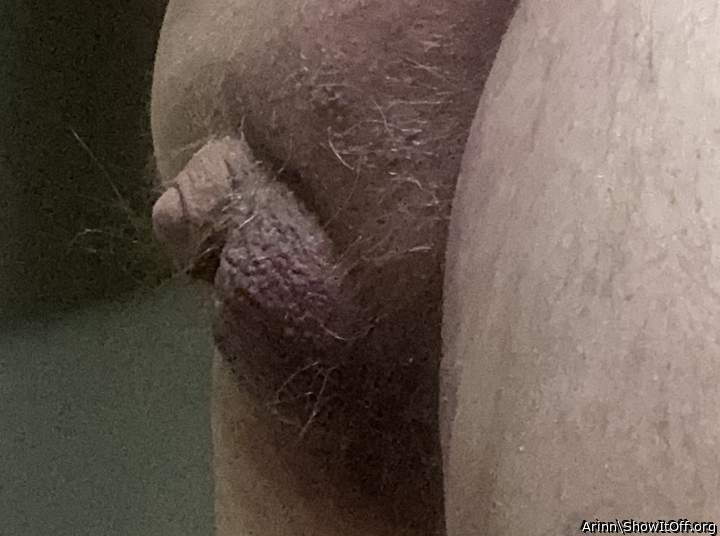 Adult image from Arinn