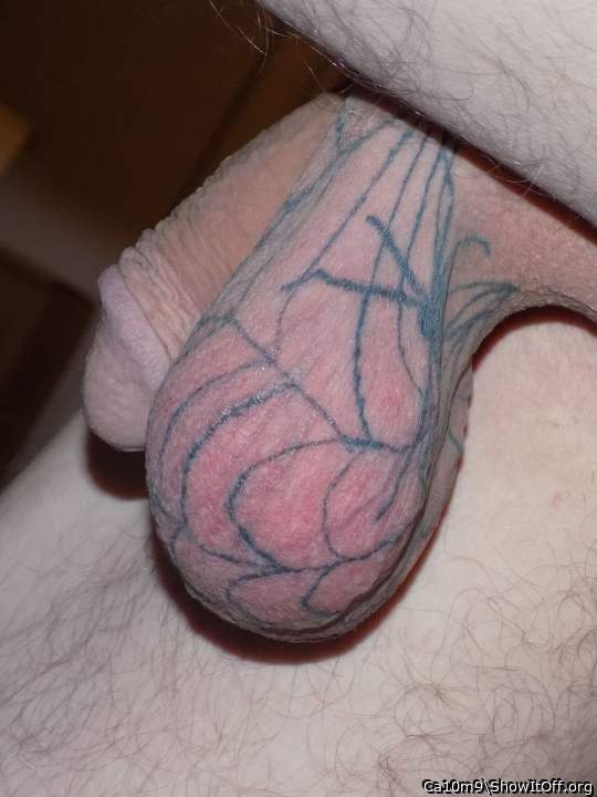 Cock and balls Spider web tattoo on scrotum