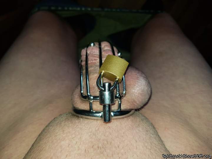 Adult image from Splittcock