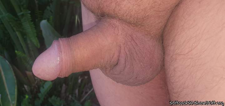 Adult image from Stiffcock59