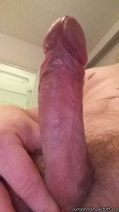 Gorgeous cock!   