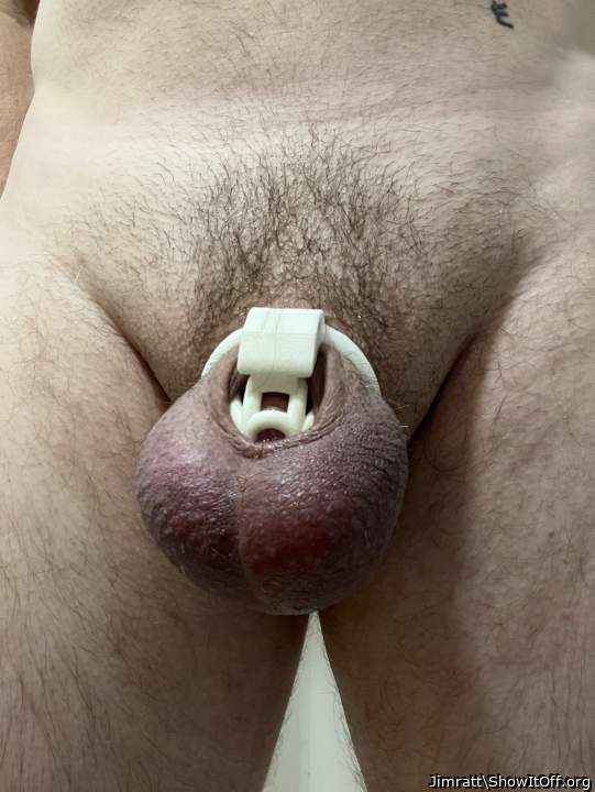 Adult image from Jimratt