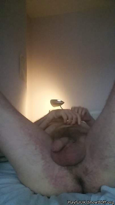 Resting cock