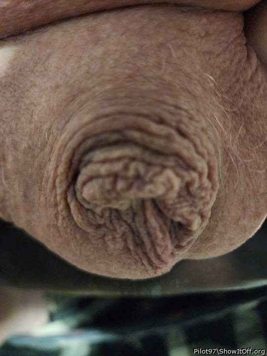 Adult image from Pilot97