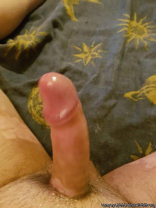 Semi oiled cock