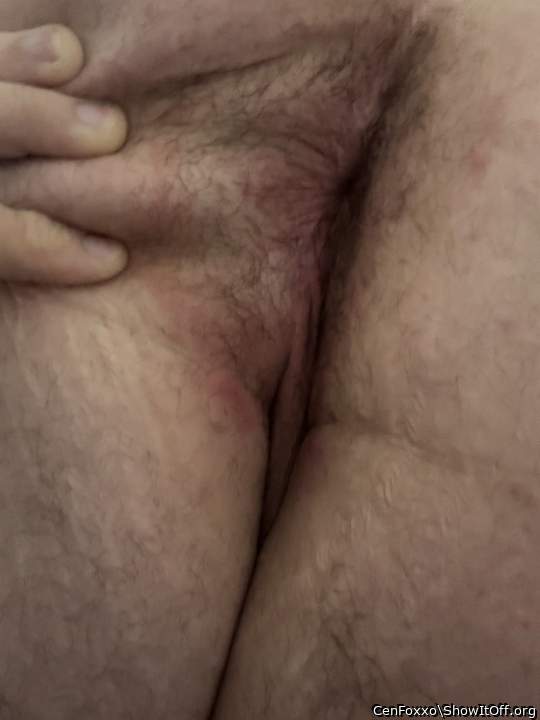 Adult image from CenFoxxo