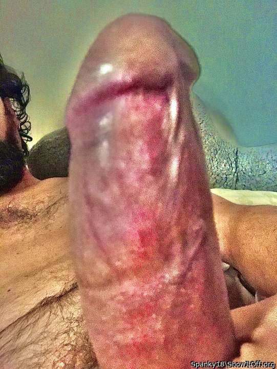 My fat shining thick veiny cock. All ladies are welcome to kiss it.