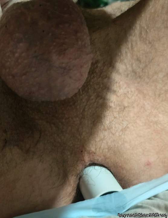 Adult image from Boyvenet