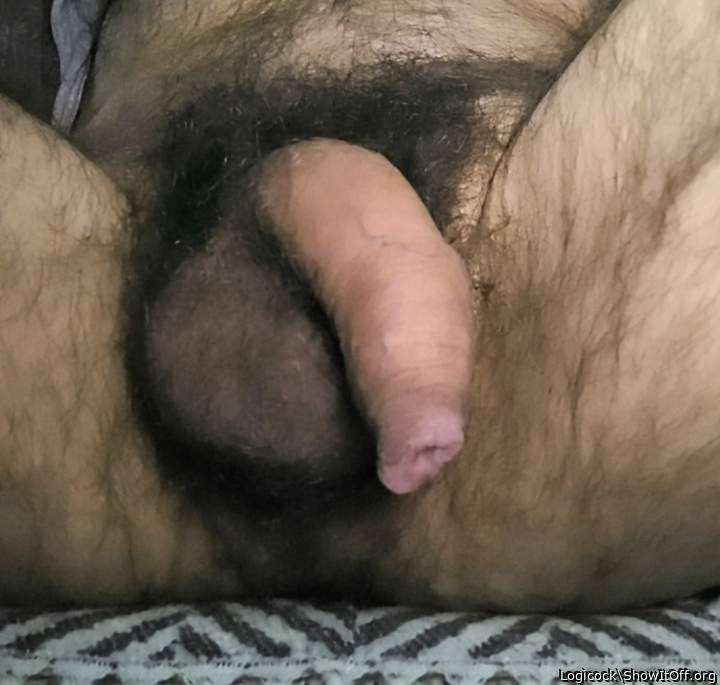 Adult image from Logicock