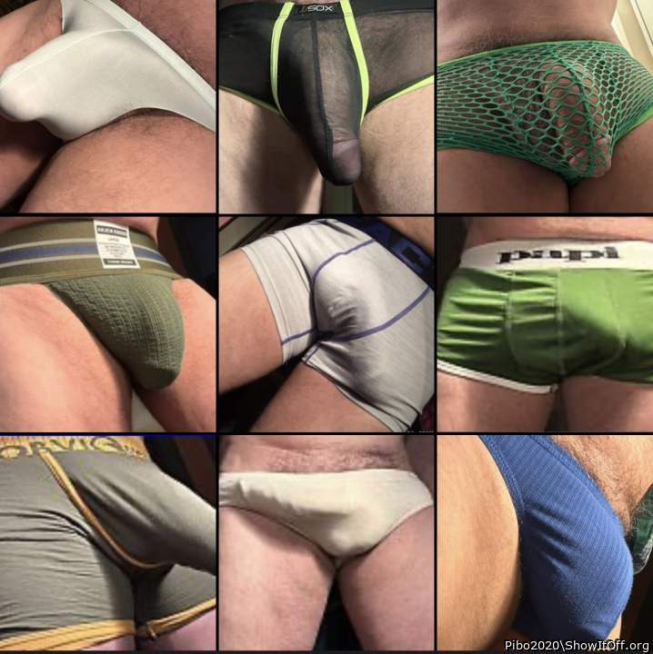 Adult image from Pibo2020