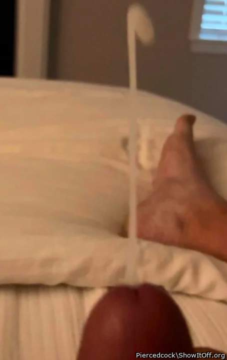 Adult image from Piercedcock