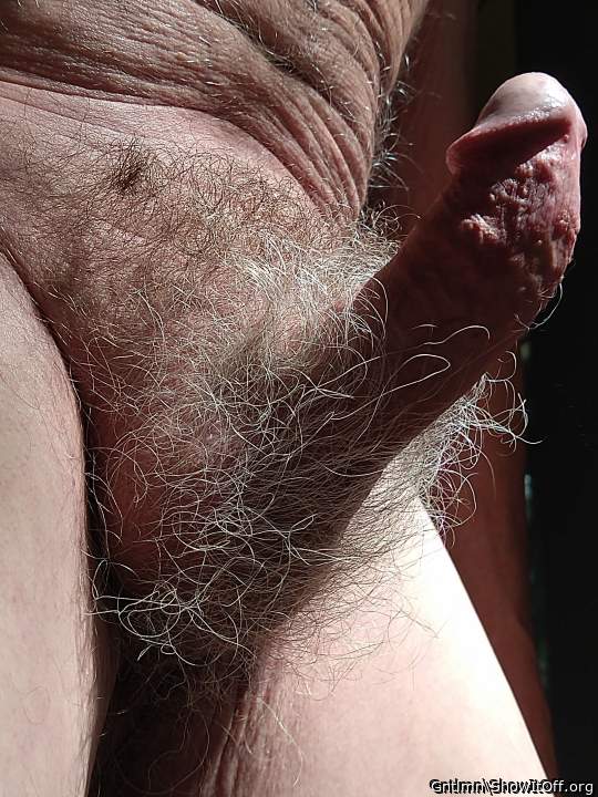 There's that wonderful cock again with it's amazing bush.