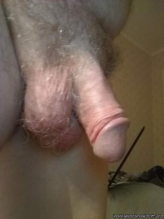 Beautifull sexy Dick!