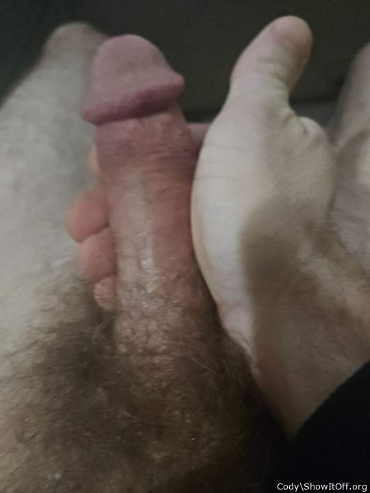 Adult image from Cody