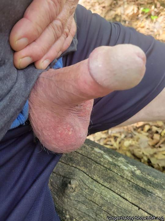 beautiful dick 