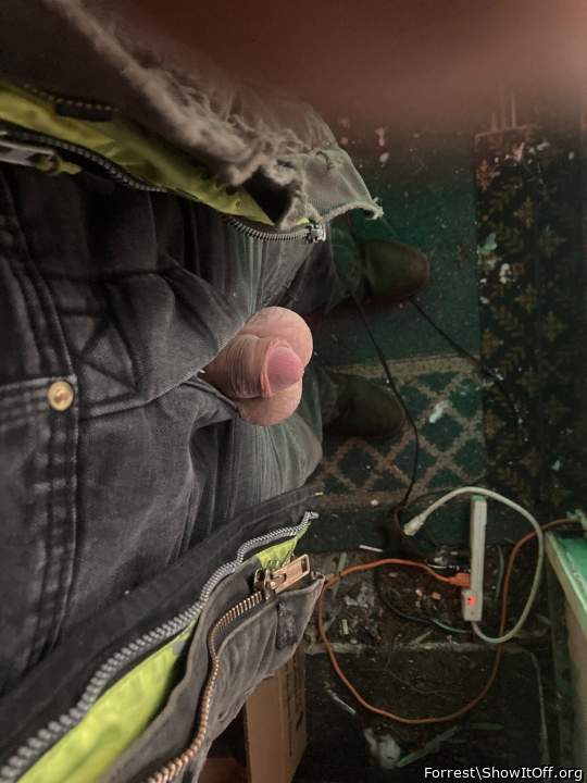 Adult image from Forrest