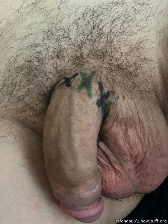 XXX Large n Sexy�