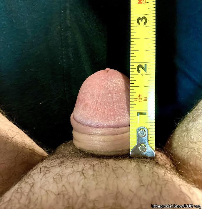 MEASURING MY MICRO-DICK(PLEASE HUMILIATE MY COCK)